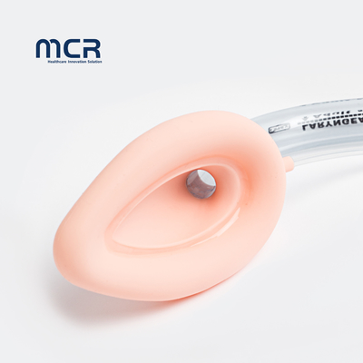 Un buon prezzo. Maschera laringea per la via aerea Manca di silicone e tubo in PVC LMA usa e getta in linea