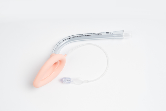 Un buon prezzo. PVC e silicone dimensione 3.0 maschera laringea via aerea per intubare di alta qualità in linea
